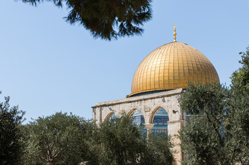 Fototapeta na wymiar The Dome of the Rock is visible in the gap between the trees on the territory of the interior of the Temple Mount in the Old City in Jerusalem, Israel
