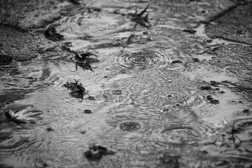 Regen im Herbst