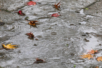 Regen im Herbst