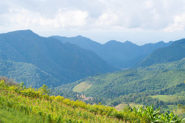 Landscape of forest and mountain.