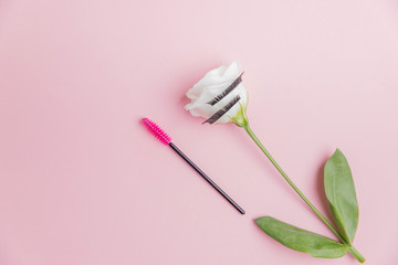 False eyelashes extensions with pink brush on white flowers background, top view. Beauty concept