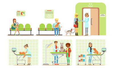 Trip to the vet cartoon vector illustration