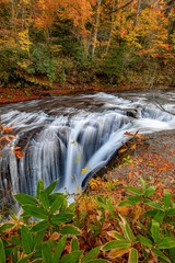 waterfall in the forest