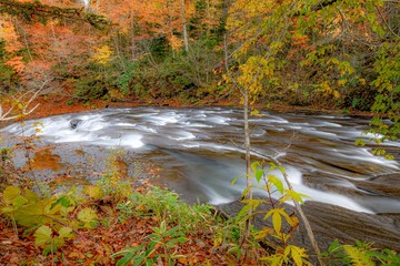 waterfall in forest