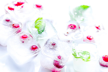 mint and red berries in ice cubes white background