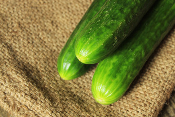 Cucumbers lie on a rag bag. Close-up.