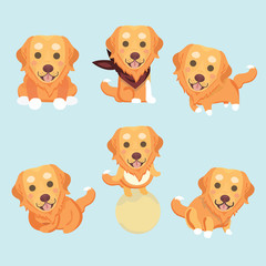 A set of golden retriever illustration..