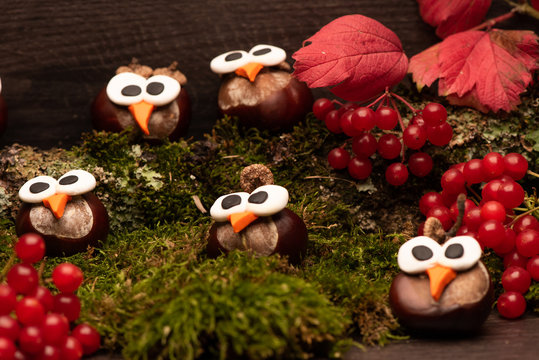 Eulen Deko Herbst