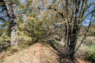 Na rowerze Wrocław jesienią 