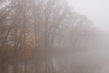 Fototapeta na wymiar Trees in the fog over the river. Thick fog over the river. Autumn landscape