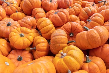 pumpkins for sale at farmers market