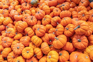 pumpkins for sale at farmers market