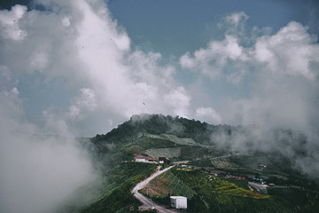 Nature is always and never the same