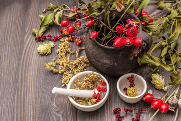 Halloween concept background. Witch bowler, mistletoe, elderberry. Dry herbs, flowers, fresh berries