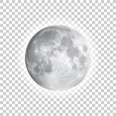 Full moon isolated with background, vector