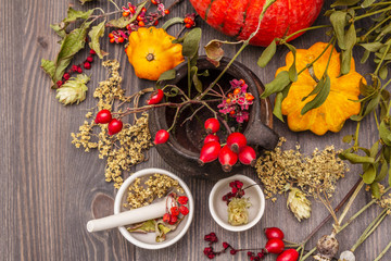 Halloween concept background. Witch bowler, mistletoe, elderberry. Dry herbs, flowers, fresh berries