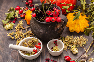 Halloween concept background. Witch bowler, mistletoe, elderberry. Dry herbs, flowers, fresh berries