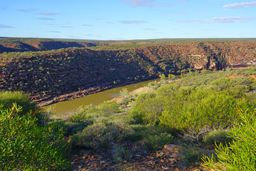 View of the Murchison River gorge in Kalbarri National Park in the Mid West region of Western Australia.