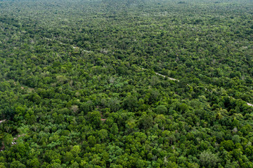 Obraz premium Tropical rainforest with road in countryside at national park