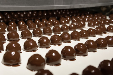 chocolate candies on the conveyor of a confectionery factory close-up