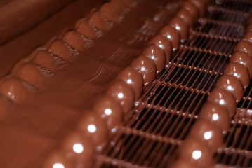 chocolate candies on the conveyor of a confectionery factory close-up