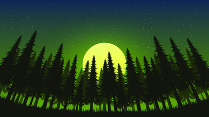 Dense forest at night in the light of the full moon, horizontal position.