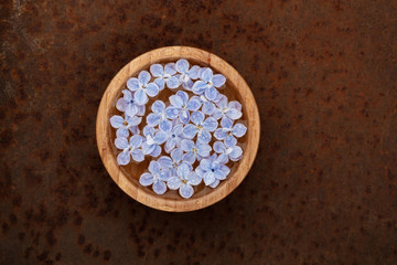 Floating lilac flowers in a bowl of water on a rusty background