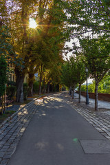 Fototapeta premium Budapest Autumn Alley