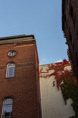 Walk in the autumn evening in the Mitte district in the center of Berlin, cozy quiet courtyards