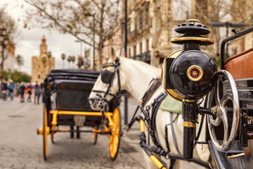 Fototapeta na wymiar Horse-drawn carriages, Torre del Oro, Sevilla, Spain