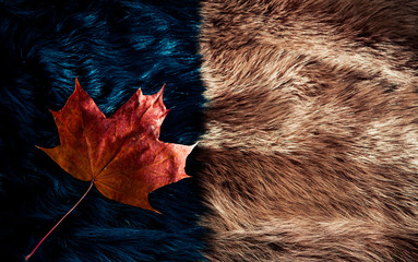 luxury two colors fur fabric texture with maple leaf on surface