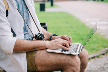 cropped view of blogger typing on laptop in park