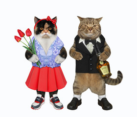 The two cats in love is walking together. One of them with a bouquet of tulips is dressed in a red skirt and a blue waistcoat and the other in a black suit with a bottle of rum. White background. Isol