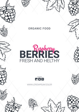 Berries banner with raspberries. Food design template with berry.