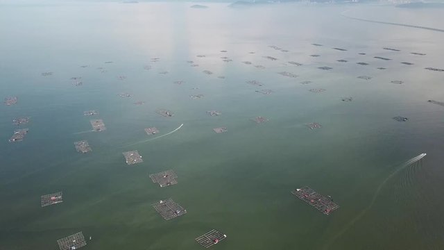 Aerial panning fishing boats sail toward Penang Second Bridge (Sultan Abdul Halim Muadzam Shah Bridge).
