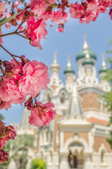 Spring Flowers with Grand Architecture in Background