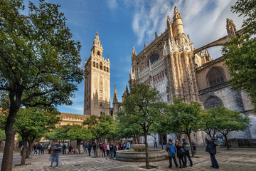 Fototapeta premium Giralda, katedra, Patio de los Naranjos, Sewilla, Hiszpania