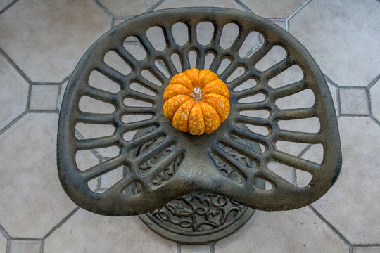 Squash On Tractor Seat