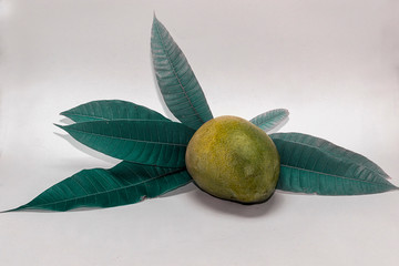 mango isolated on white background