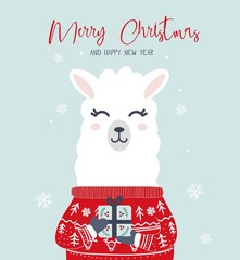 Merry Christmas and Happy New Year greeting card with llama vector illustration. Winter holiday postcard decorated by Xmas animal in sweater holding present box, snowflakes on blue background