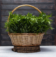 straw basket of fresh tarragons on wood serving board