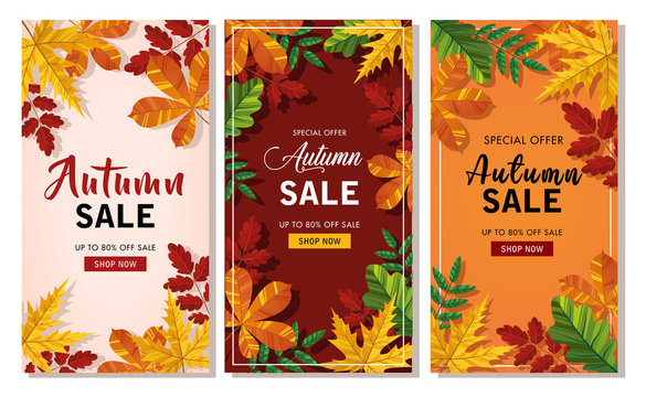 Set autumn sale background layout decorate with leaves of autumn for shopping sale or banner, promo poster, frame leaflet or web. Vector illustration.