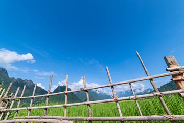 Fototapeta premium Beautiful Rice Field and Mountains with Clouds Blue Sky in Vang Vieng, Laos