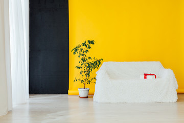 white sofa with home plant and gifts in the interior of the room