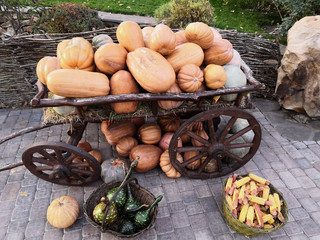 Autumn, the harvest. Cart with pumpkins, and other vegetables in baskets