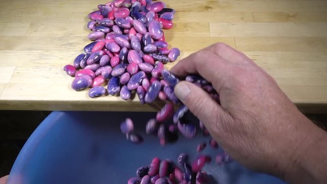 Close POV slow motion shot of a man&rsquo;s hand moving pink and purple beans &ndash; the inner edible part from shelled runner beans &ndash; from a wooden table to a plastic bowl.