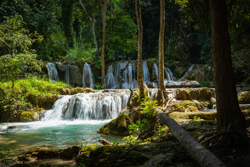 Tad Sae Waterfall in Luang prabang province, Laos.