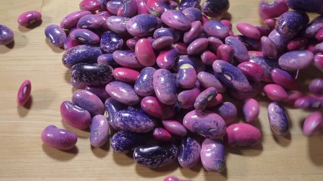 Close POV slow motion shot of pink and purple beans &ndash; the inner edible part from shelled runner beans &ndash; being pouring from a plastic bowl.