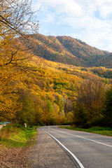 Fototapeta premium road in autumn mountains