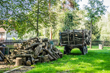 Prepared for wood felling the tractor-trailer